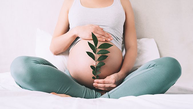 Mujer embarazada está sentada en una cama con las piernas cruzadas. Con una mano expone su barriga, en la otra sostiene una rama con hojas verdes.
